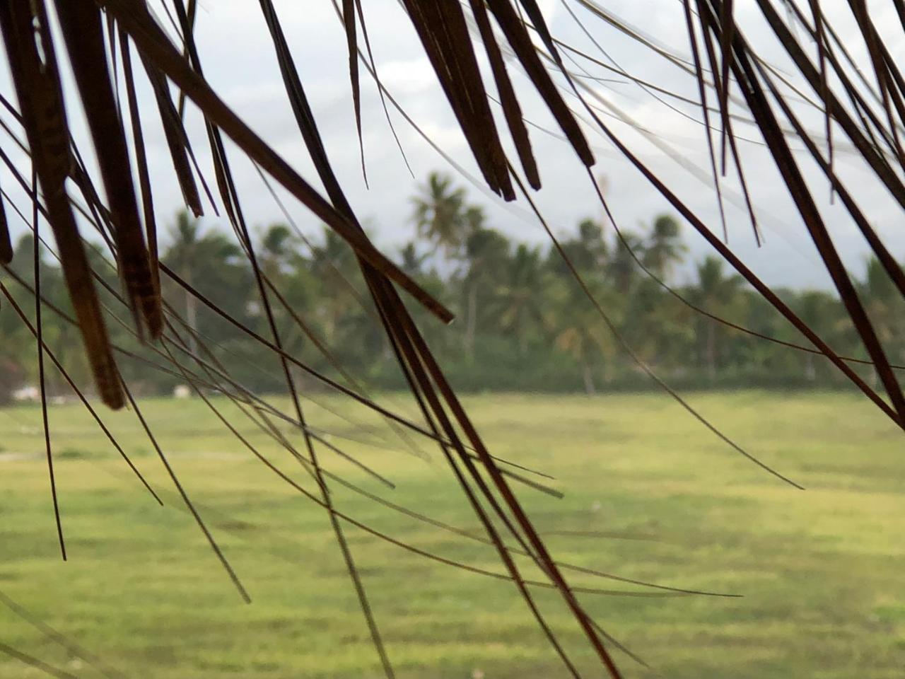 Barefoot Beach Pad Cabarete Exterior foto
